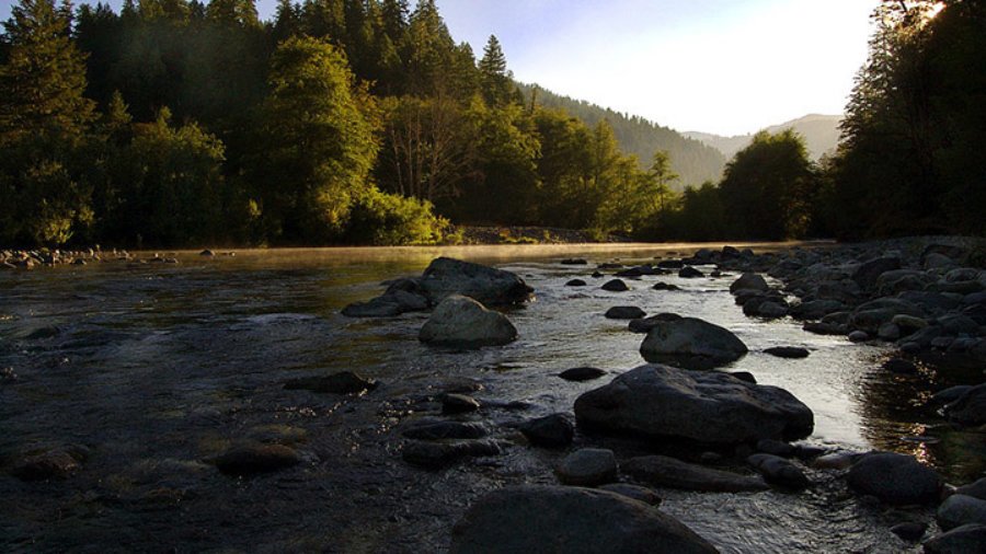 Another round of restoration on South Fork Smith River