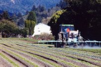 Speak Out OCT 8 to Protect the Smith River Estuary from Pesticides