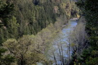 SLC Protecting and Restoring<br> the Mad River Reserve